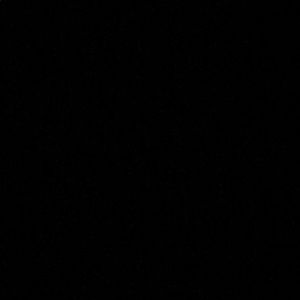 Meet your Posher, Jackson